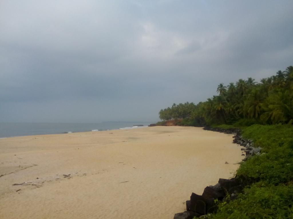 فندق Ivory Coaste كانور المظهر الخارجي الصورة